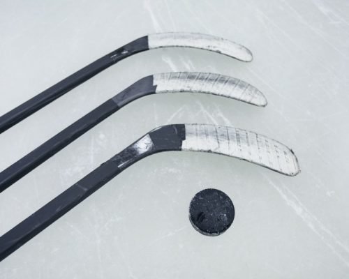 Red wings Red wings